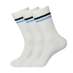 Спортивные носки в комплекте 3 пары Bisoks 11011k white/2 stripes black/light blue цена и информация | Мужские носки | 220.lv