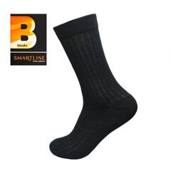 Мужские классические носки Bisoks 12158 black цена и информация | Мужские носки | 220.lv