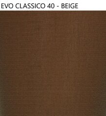 Sieviešu zeķbikses Favorite Evo Classico 40 den 41124 beige cena un informācija | Zeķubikses | 220.lv