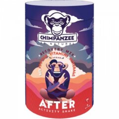 Uztura bagātinātājs, atjaunojošs olbaltumvielu kokteilis pēc treniņa Chimpanzee, 350 g cena un informācija | Uztura bagātinātāji atjaunošanai pēc slodzes | 220.lv