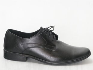 Vīriešu kurpes FERMANI cena un informācija | Vīriešu kurpes, zābaki | 220.lv