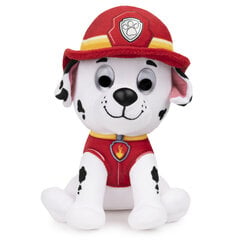 Mīksta rotaļlieta Marshall Ķepu Patruļa (Paw Patrol) 15 cm цена и информация | Мягкие игрушки | 220.lv