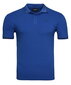Vīriešu polo krekls Armani Jeans 8N6F30-6JPTZ cena un informācija | Vīriešu T-krekli | 220.lv