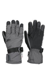 Лыжные перчатки мужские и женские Trespass Eergoni II, серые цена и информация | Лыжная одежда | 220.lv