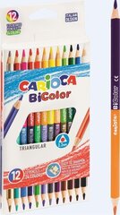 Карандаши цветные BiColor. цена и информация | Принадлежности для рисования, лепки | 220.lv