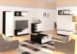 TV galdiņš Meblocross Hybrid Hyb-20 1D1S, melns/balts cena un informācija | TV galdiņi | 220.lv
