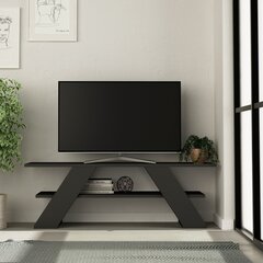 ТВ столик Kalune Design 776, 120 см, серый цена и информация | Тумбы под телевизор | 220.lv