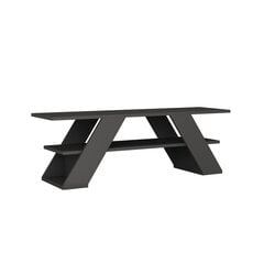 ТВ столик Kalune Design 776, 120 см, серый цена и информация | Тумбы под телевизор | 220.lv
