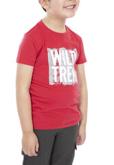 T-krekls zēniem Zealous, sarkans cena un informācija | Zēnu krekli | 220.lv