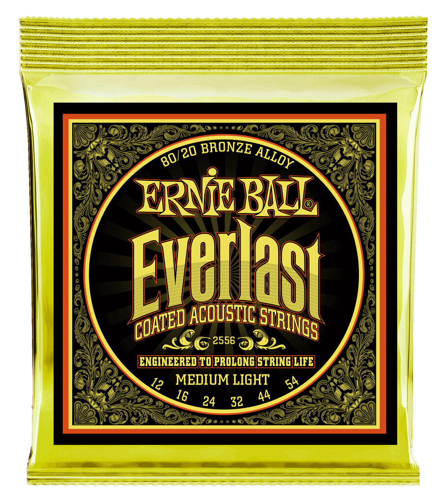 Stīgas ak. ģitārai Ernie Ball Everlast 0.012-0.054 цена и информация | Mūzikas instrumentu piederumi | 220.lv