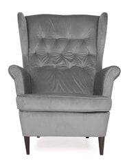 Krēsls TMS Prince, pelēks цена и информация | Кресла в гостиную | 220.lv