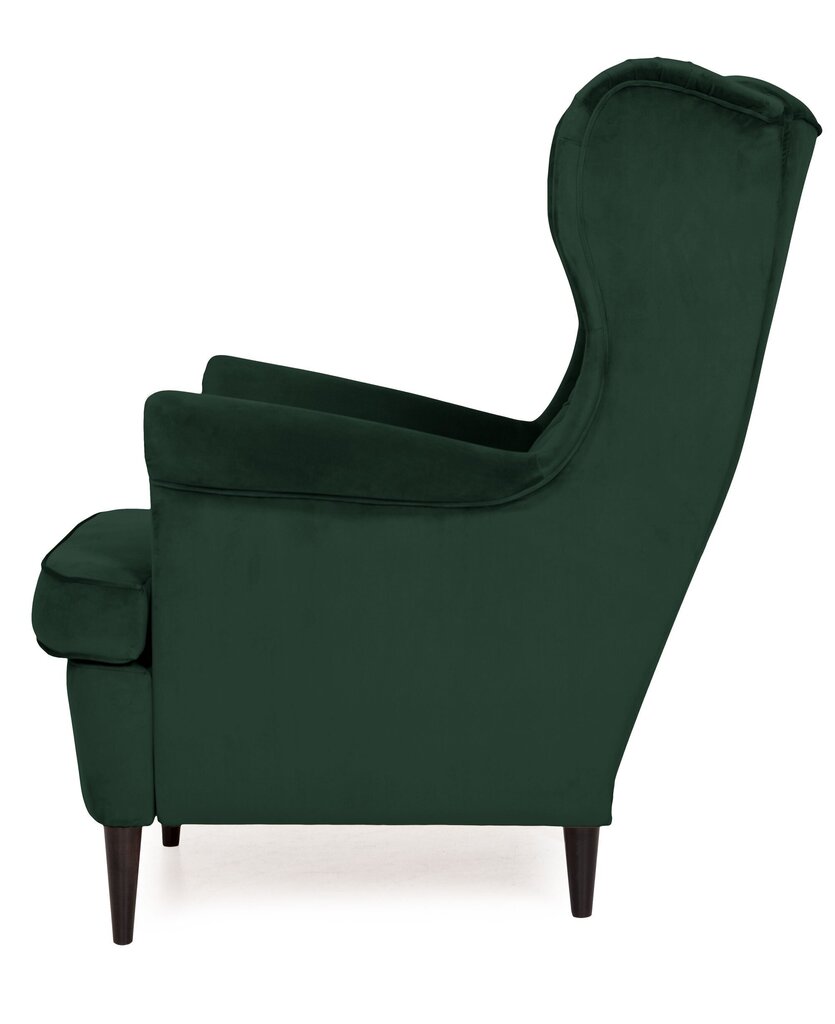 Krēsls TMS Prince, zaļš цена и информация | Atpūtas krēsli | 220.lv