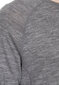 Termo T krekls no merīno vilnas Trespass Wexler - Male DLX Merino Base Layer Top цена и информация | Vīriešu termoveļa | 220.lv