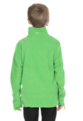 Zēnu džemperis Trespass Masonville Male Microfleece AT100, zaļš cena un informācija | Zēnu jakas, džemperi, žaketes, vestes | 220.lv