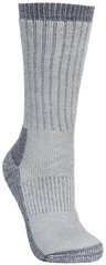 Носки мужские Trespass Strolling DLX, серые цена и информация | Мужские носки | 220.lv