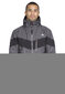 Vīriešu slēpošanas jaka Trespass Tinlaw, pelēka cena un informācija | Vīriešu slēpošanas apģērbs | 220.lv