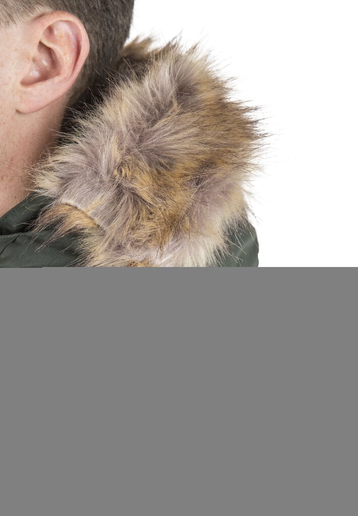 Ikdienas jaka vīriešiem Trespass Mount Bear, zaļa cena un informācija | Vīriešu virsjakas | 220.lv