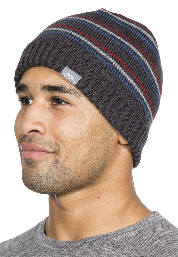 Vīriešu cepure Trespass Ray, pelēka цена и информация | Vīriešu cepures, šalles, cimdi | 220.lv
