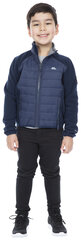 Džemperis zēniem Trespass Ludvig Kids Fleece AT300, zils cena un informācija | Zēnu jakas, džemperi, žaketes, vestes | 220.lv