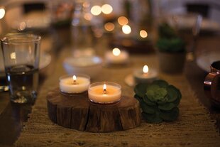 WoodWick aromātiska svece Radish & Rhubarb, 31 g cena un informācija | Sveces un svečturi | 220.lv
