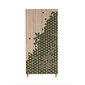 Skapis Kalune Design Wardrobe 869 (IV), 90 cm, ozola krāsas/zaļš cena un informācija | Skapji | 220.lv