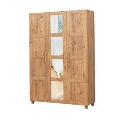 Шкаф Kalune Design Wardrobe 869 (III) с зеркалом, 120 см, светло-коричневый цена и информация | Шкафы | 220.lv