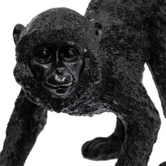 Statuete Monkey Tail 41 cm cena un informācija | Interjera priekšmeti | 220.lv