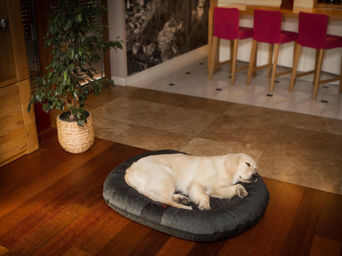 Hobbydog guļvieta Ponton Ekolen, L, Graphite, 90x65 cm cena un informācija | Suņu gultas, spilveni, būdas | 220.lv