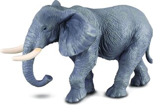 Figūriņa Āfrikas zilonis Collecta, 88025 cena un informācija | Rotaļlietas zēniem | 220.lv