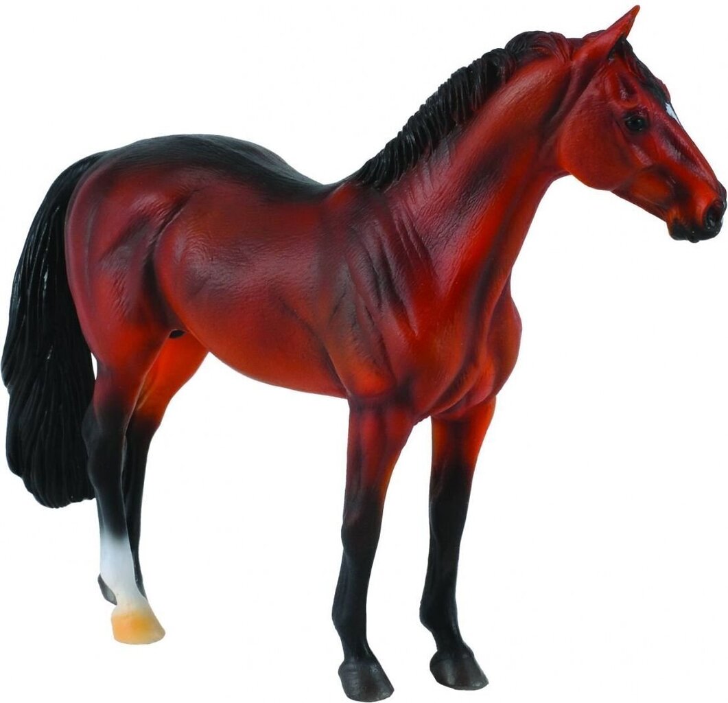 Figūriņa Hannoveres šķirnes zirgs Collecta, 004-88431 цена и информация | Rotaļlietas zēniem | 220.lv