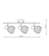 Light Prestige griestu lampa Reus цена и информация | Потолочные светильники | 220.lv