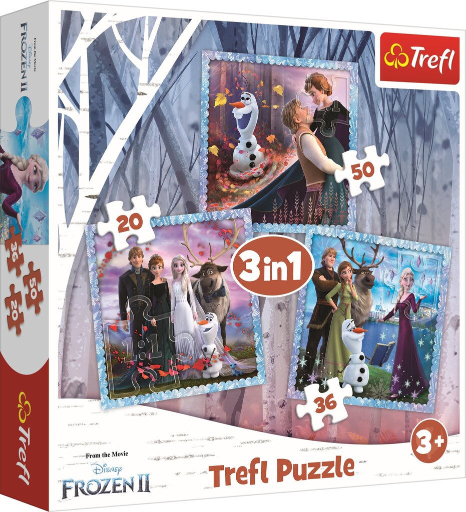 Puzle Frozen 2 cena un informācija | Puzles, 3D puzles | 220.lv