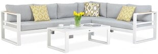 Комплект уличной мебели Focus Garden Panama, серый/белый цена и информация | Комплекты уличной мебели | 220.lv
