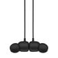 Beats Flex – All-Day Wireless Earphones – Beats Black - MYMC2ZM/A цена и информация | Austiņas | 220.lv