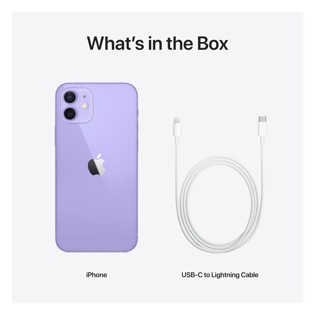 Apple iPhone 12 128GB Purple MJNP3ET/A cena un informācija | Mobilie telefoni | 220.lv