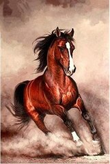 Dimantu mozaīkas komplekts "Brūns zirgs" cena un informācija | Dimantu mozaīkas | 220.lv