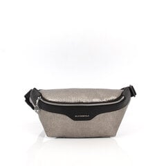 Sieviešu jostas soma Silver&Polo 890, sudraba krāsa / melna cena un informācija | Sieviešu somas | 220.lv