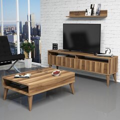 Комплект мебели для гостиной Kalune Design 845(VI), темно-коричневый цена и информация | Секции | 220.lv