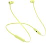 Beats Flex – All-Day Wireless Earphones - Yuzu Yellow - MYMD2ZM/A цена и информация | Austiņas | 220.lv