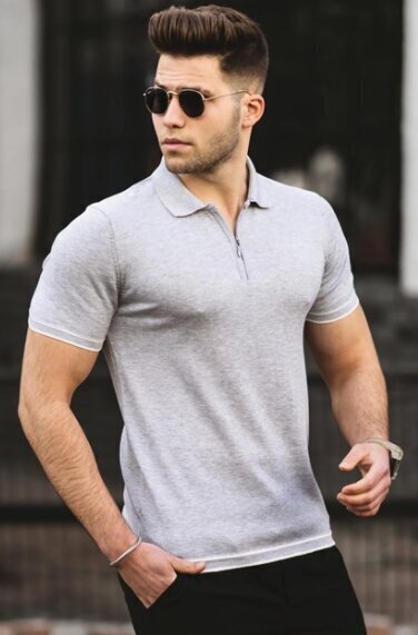 Vīriešu krāsas T-krekls "Polo", gaiši pelēkas цена и информация | Vīriešu T-krekli | 220.lv
