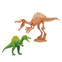 Dinozaura skeleta komplekts Megasaur Mighty 2 in 1, 16944C cena un informācija | Rotaļlietas zēniem | 220.lv