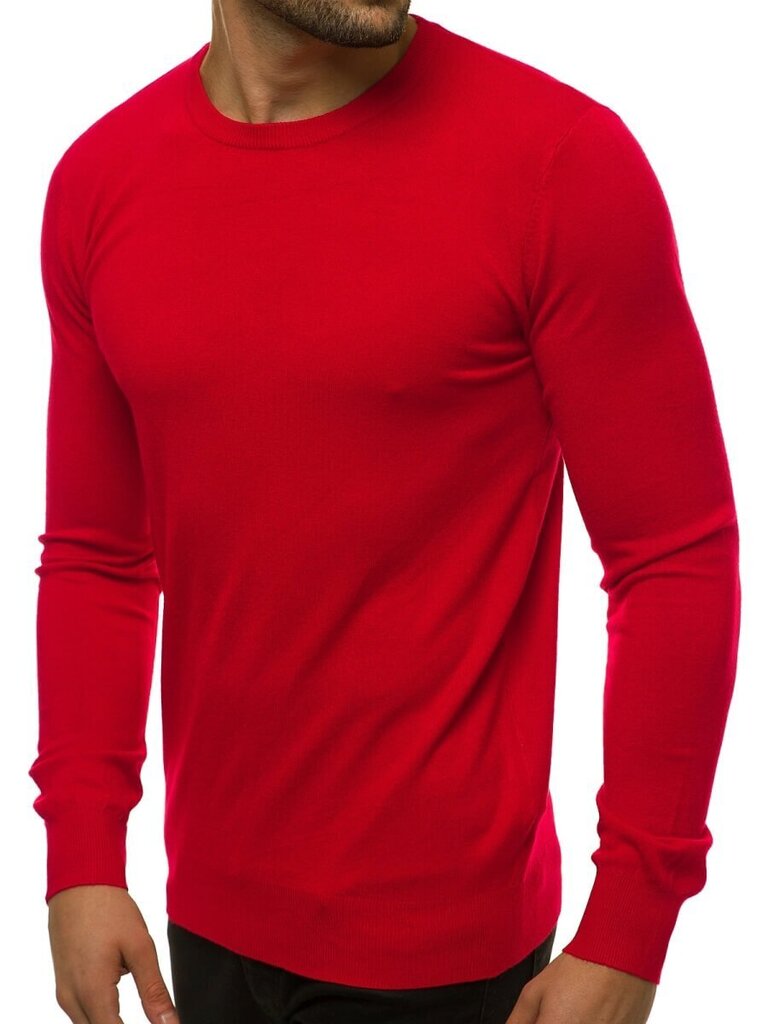 Vīriešu džemperis "Entoni", sarkans cena un informācija | Vīriešu džemperi | 220.lv