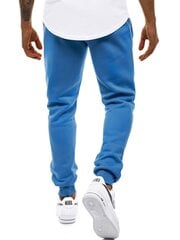 Повседневные брюки для мужчин Sergo, синие цена и информация | Мужская спортивная одежда | 220.lv
