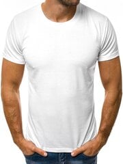 Футболка мужская Lika, белая цена и информация | Мужские футболки | 220.lv