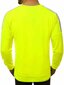 Neona krāsas vīriešu džemperis "Ted" цена и информация | Vīriešu jakas | 220.lv