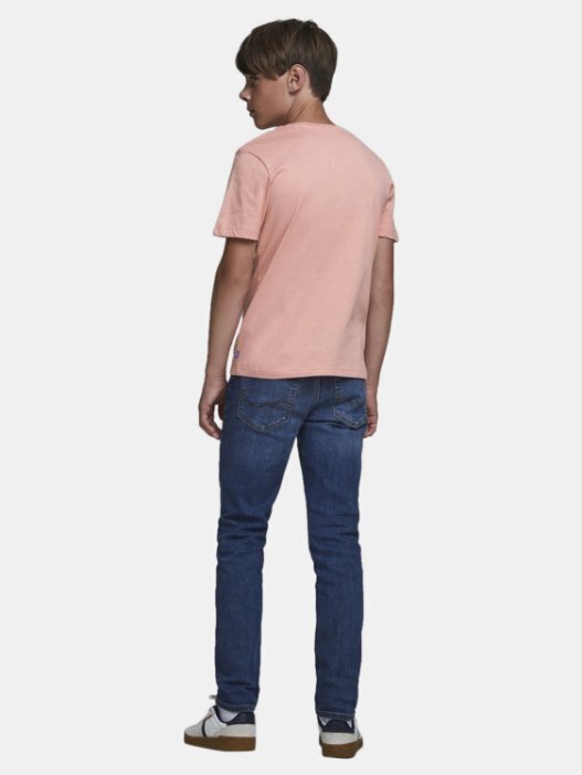 T-krekls zēniem Jack&Jones JORTULUM TEE cena un informācija | Zēnu krekli | 220.lv