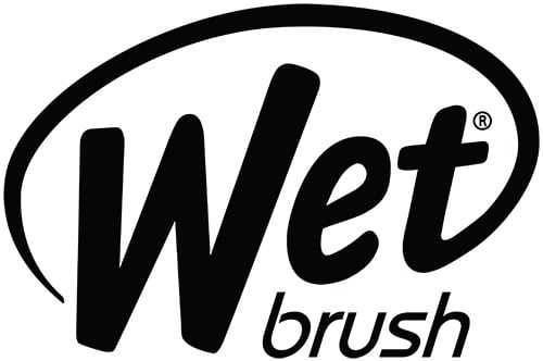 Vaizdo rezultatas pagal uÅ¾klausÄ âwet brush logoâ