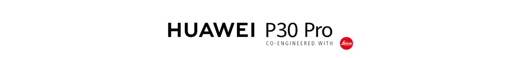 Huawei	P30 Pro