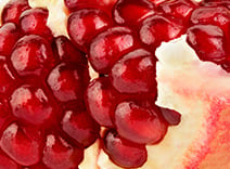 Scarlet Pomegranate