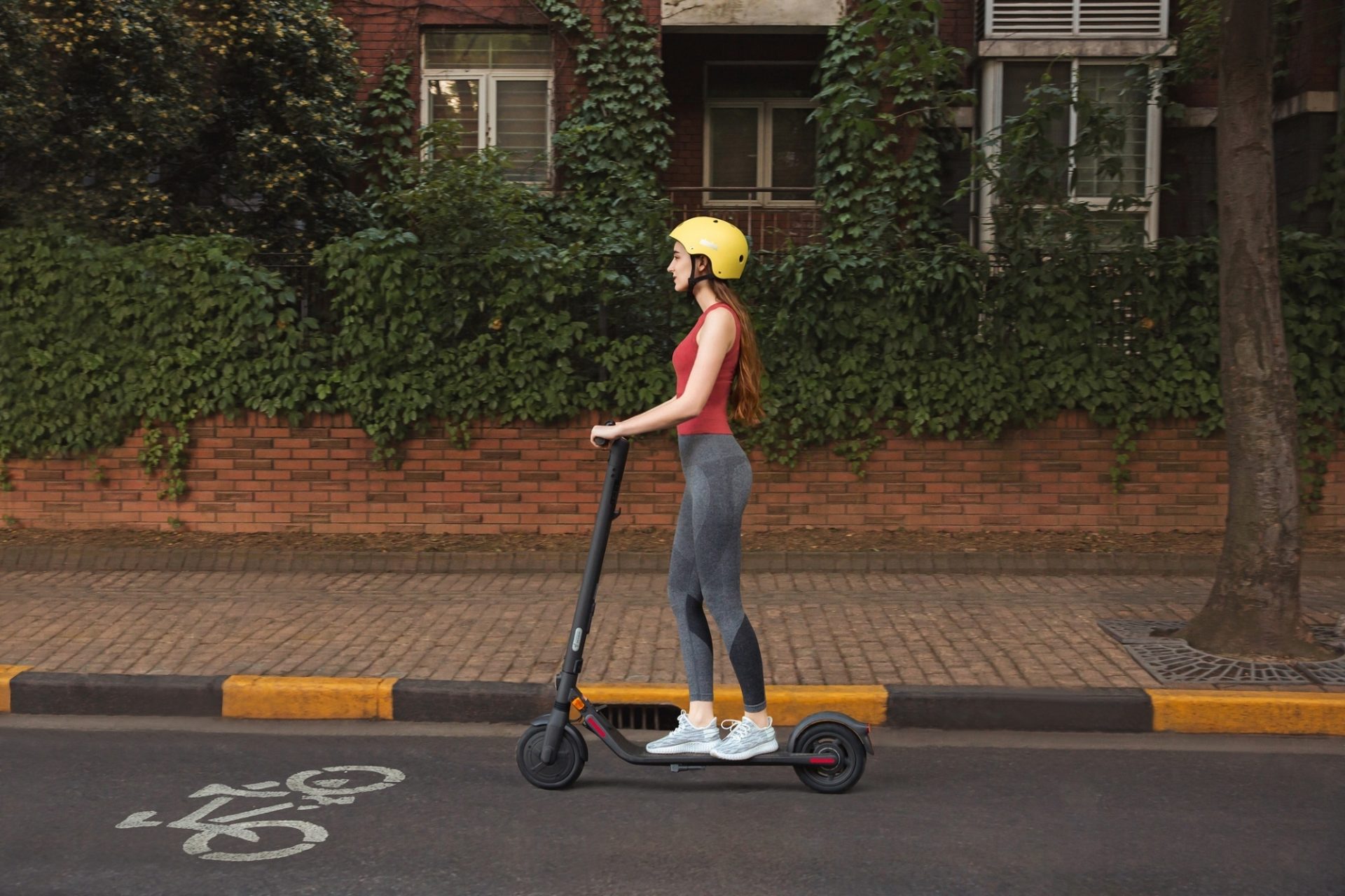 Segway Ninebot E25E